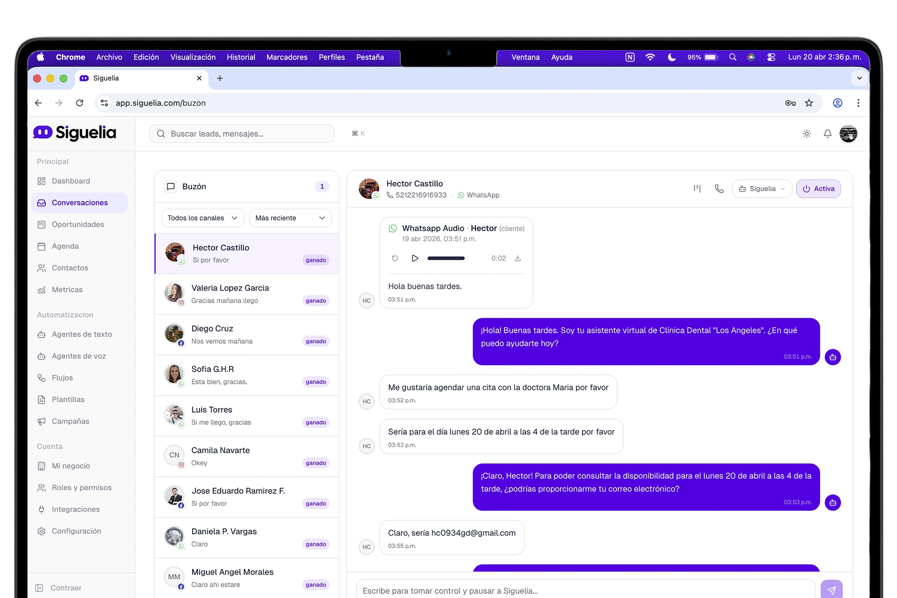 Siguelia — dashboard
